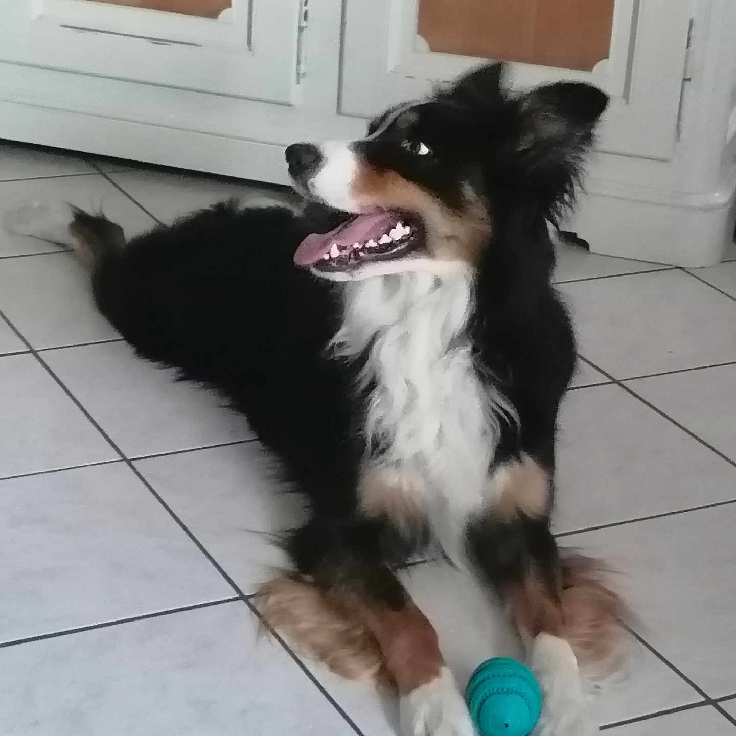 Tito