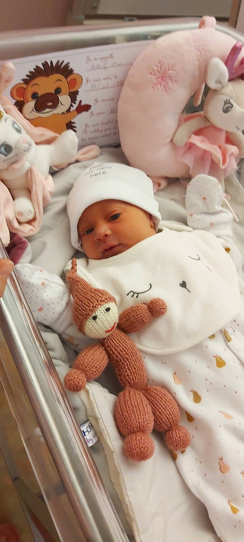Eline participe au concours pour gagner de l'argent avec cette photo : baby, baby_products, baby_safety, baby_sleeping, baby_toddler_clothing, cheek, child, comfort, fur, headwear, linens, mammal, person, pink, plush, product, skin, stuffed_toy, textile, toddler