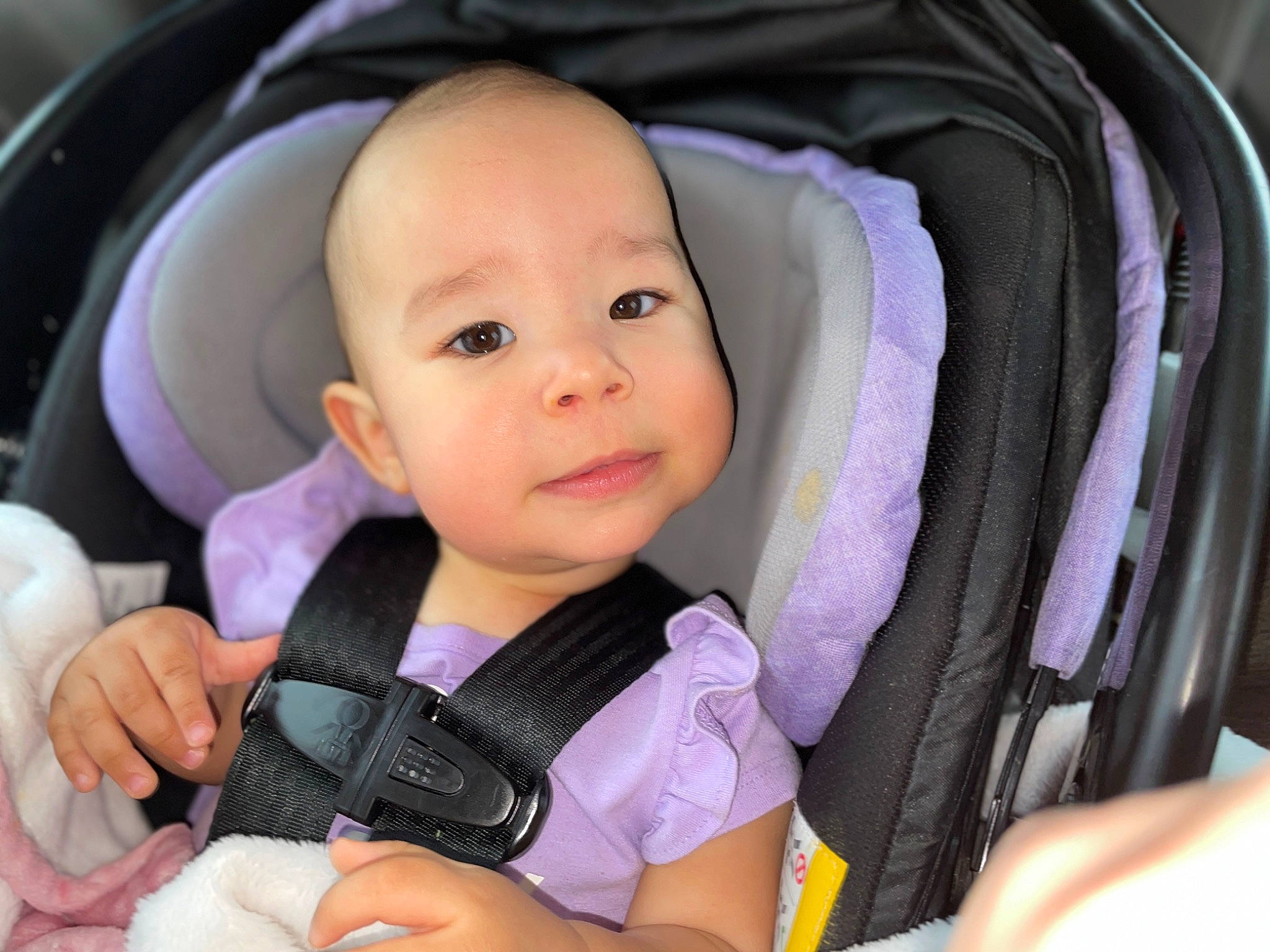 Halo is registered to the contest to win money with this photo: auto_part, baby, baby_carriage, baby_in_car_seat, baby_products, baby_safety, baby_toddler_clothing, beauty, car_seat, cheek, child, comfort, finger, nail, person, product, seat_belt, service, skin, thumb