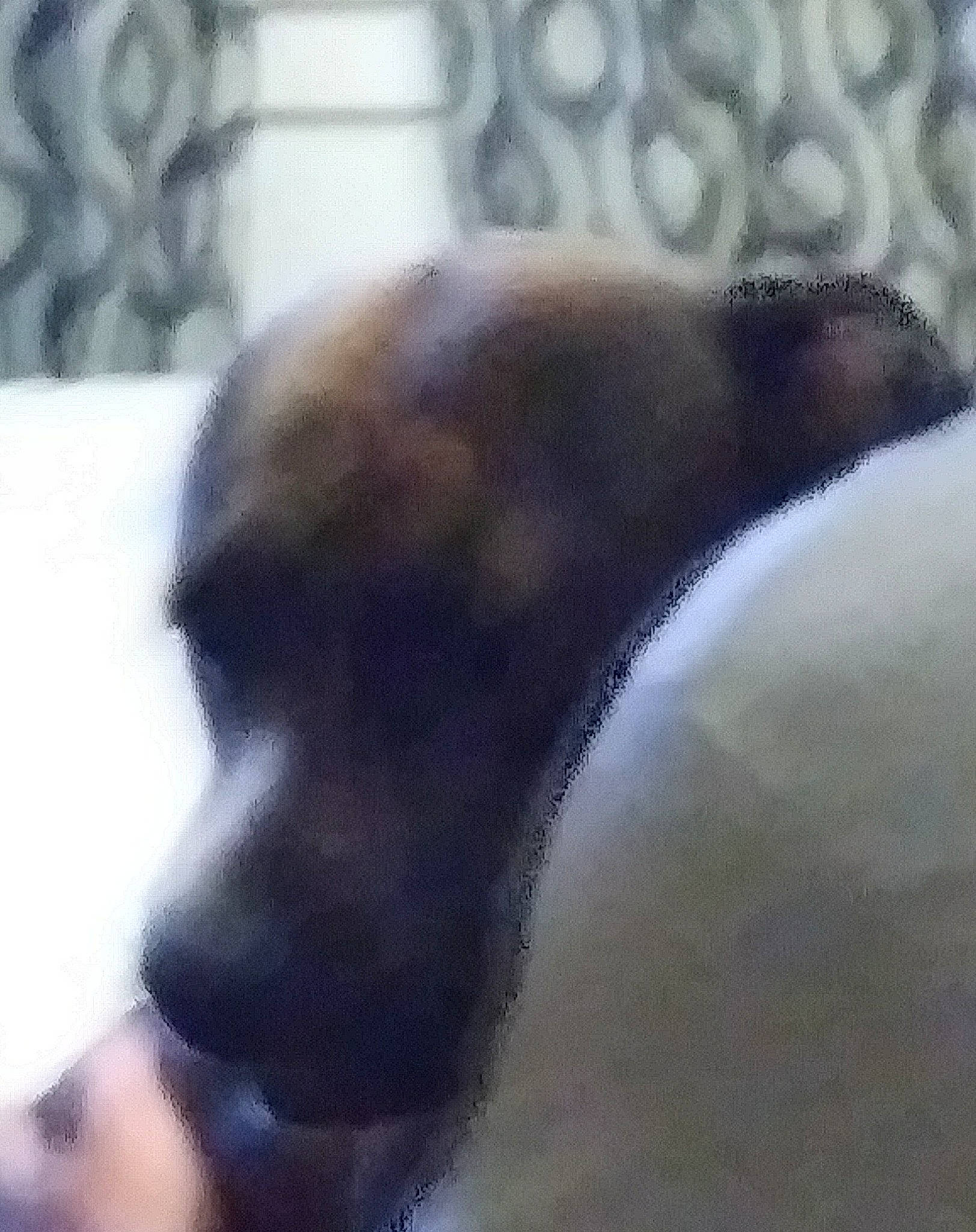 Cain joined the competition — help win amazing prizes! canidae, carnivore, dog, dog_breed, fawn, snout