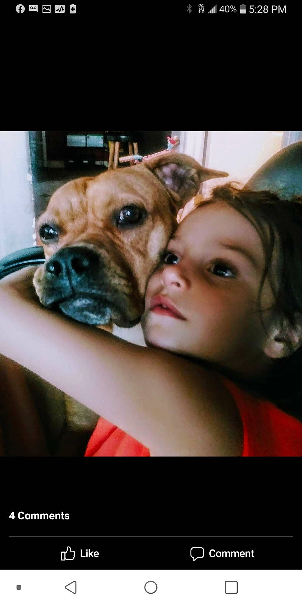 Scarlet is registered to the contest to win money with this photo: bulldog, canidae, carnivore, cheek, companion_dog, dog, dog_breed, ear, eye, fawn, mammal, mouth, non_sporting_group, nose, olde_english_bulldogge, photography, puppy, puppy_love, skin, snout