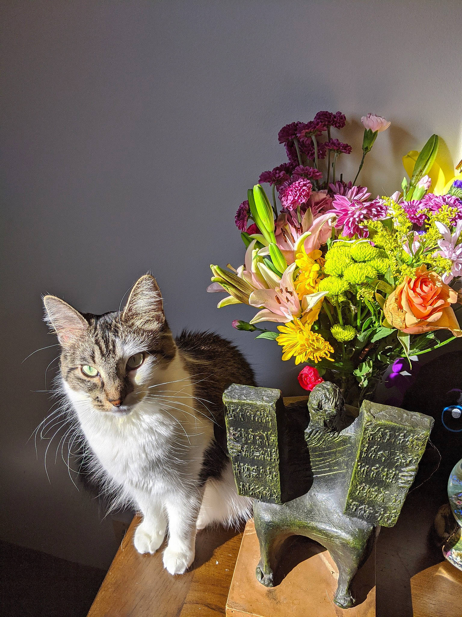 Saria joined the competition — help win amazing prizes! artificial_flower, bouquet, carnivore, cat, cut_flowers, cyclamen, felidae, floral_design, floristry, flower, flowerpot, herbaceous_plant, kitten, maine_coon, norwegian_forest_cat, plant, small_to_medium_sized_cats, still_life, tabby_cat, whiskers