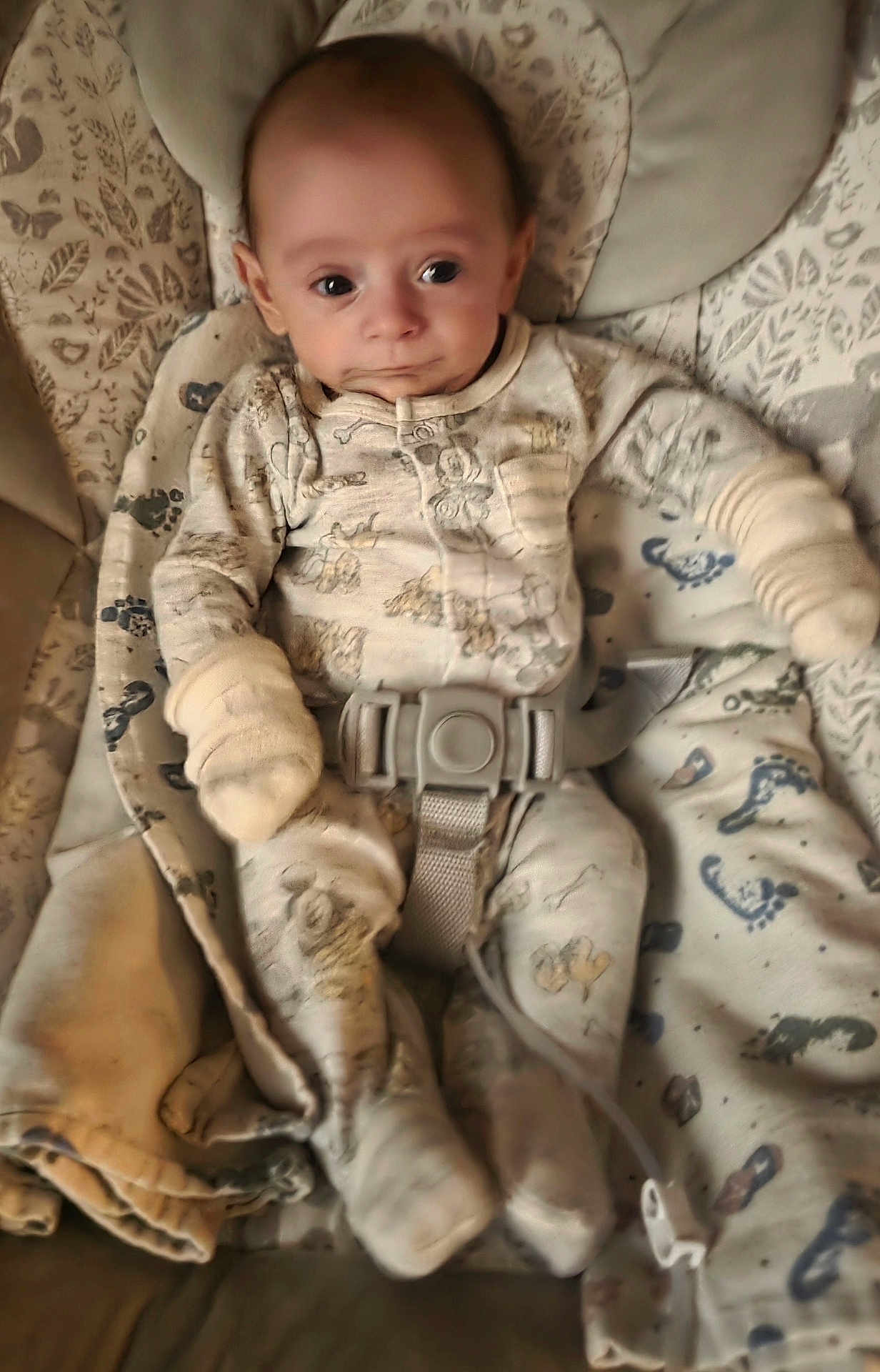 Lyle joined the competition — help win amazing prizes! baby, infant, onesie, mittens, buckle, harness, blanket, seat, car_seat, patterned, soft_focus, indoor, portrait, cozy, socks, feet, hands, closeup, fabric, neutral_colors