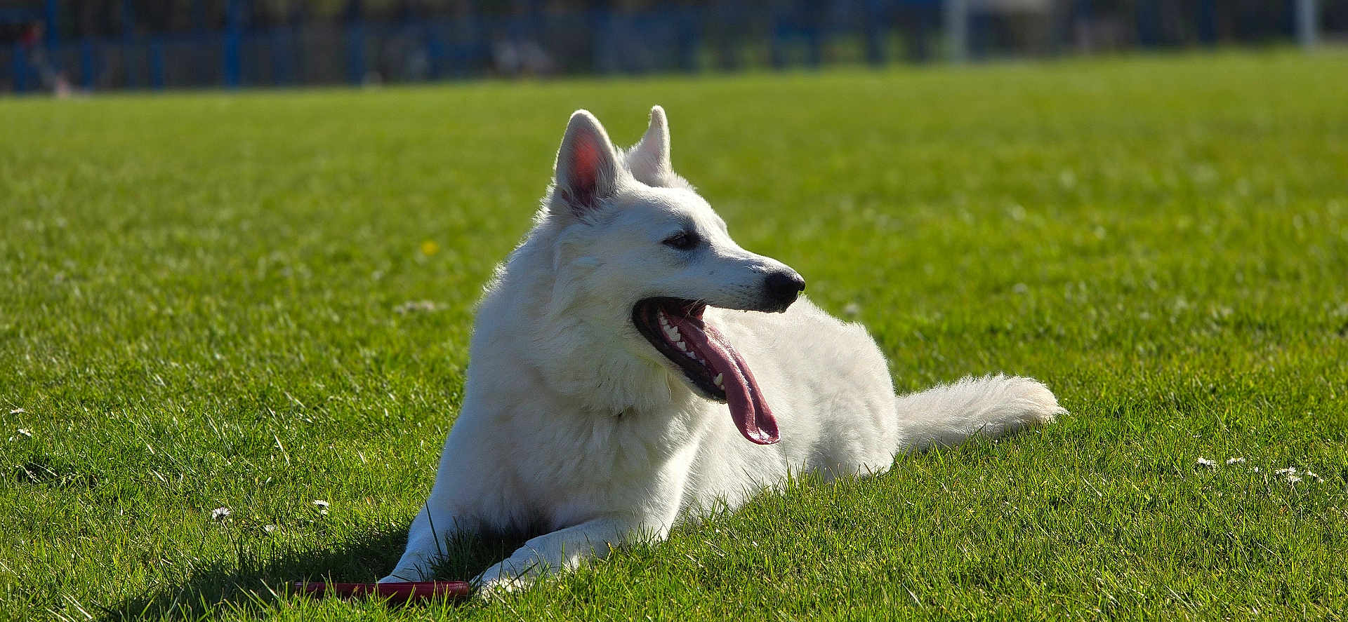 Yuki