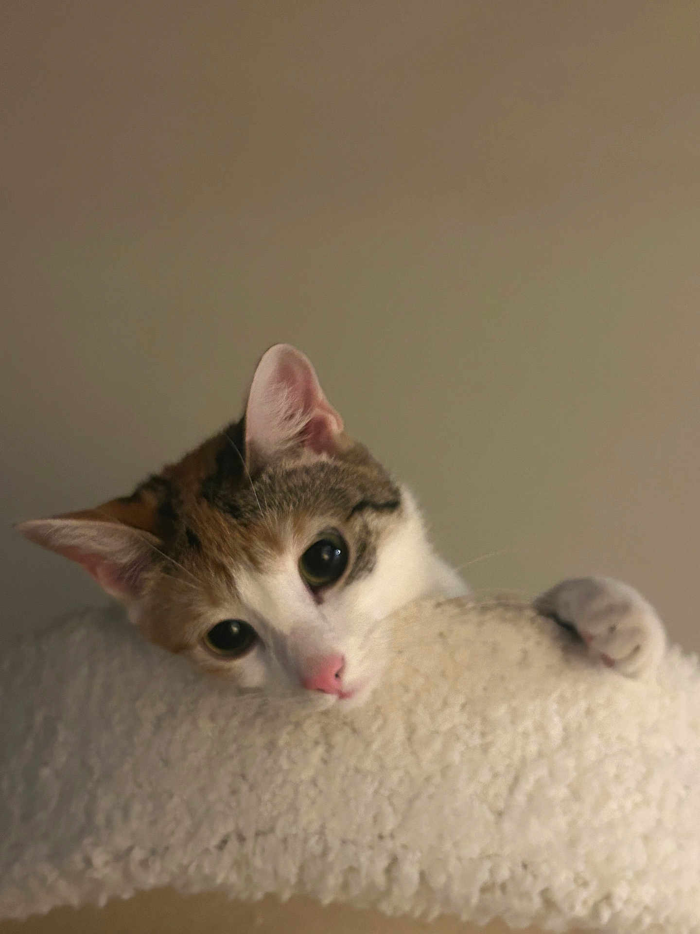 Penny