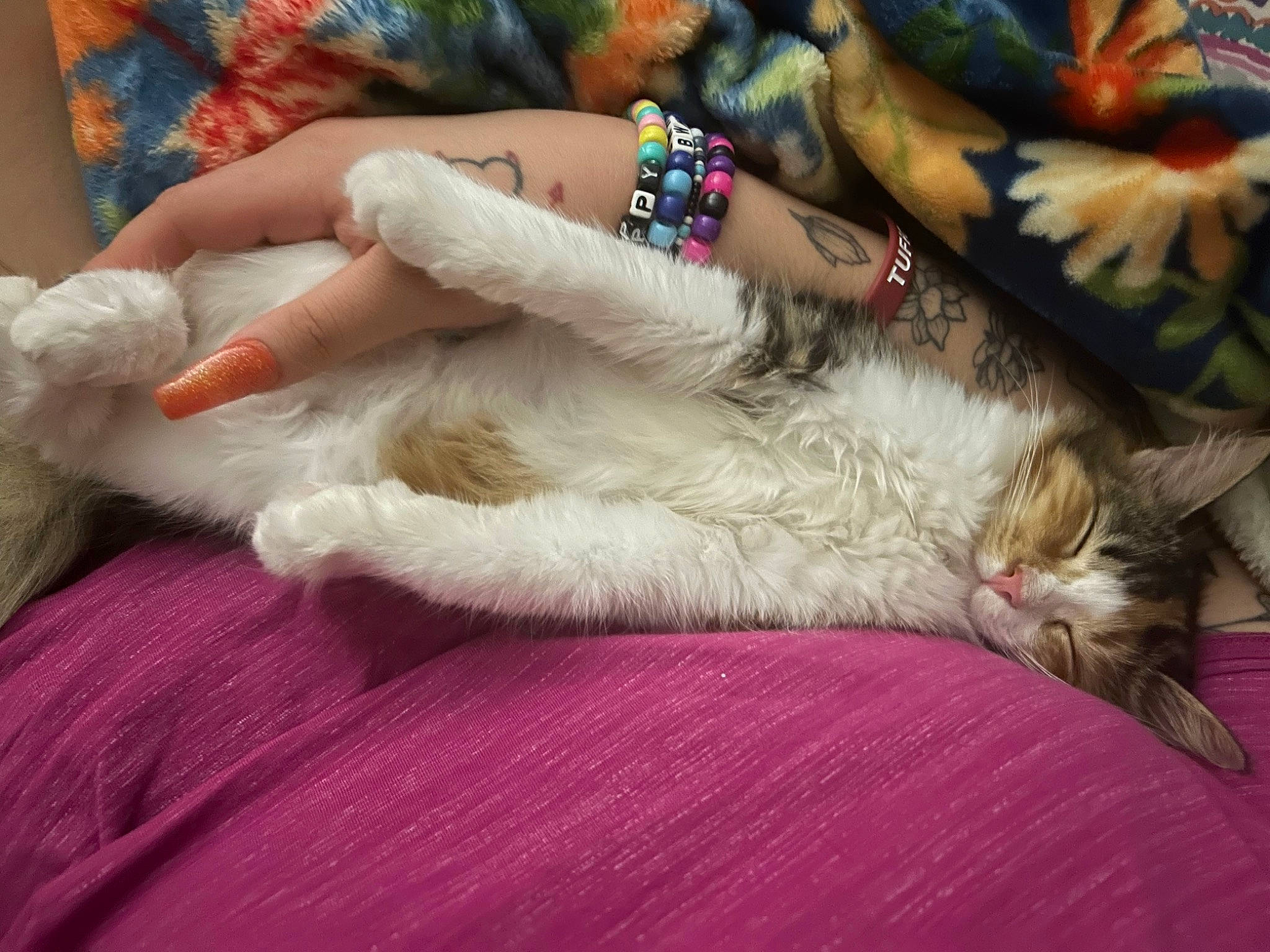 Nezuko is registered to the contest to win money with this photo: carnivore, cat, claw, comfort, companion_dog, fawn, felidae, foot, fur, gesture, human_leg, lap, linens, nail, paw, small_to_medium_sized_cats, tail, thigh, whiskers, wrist