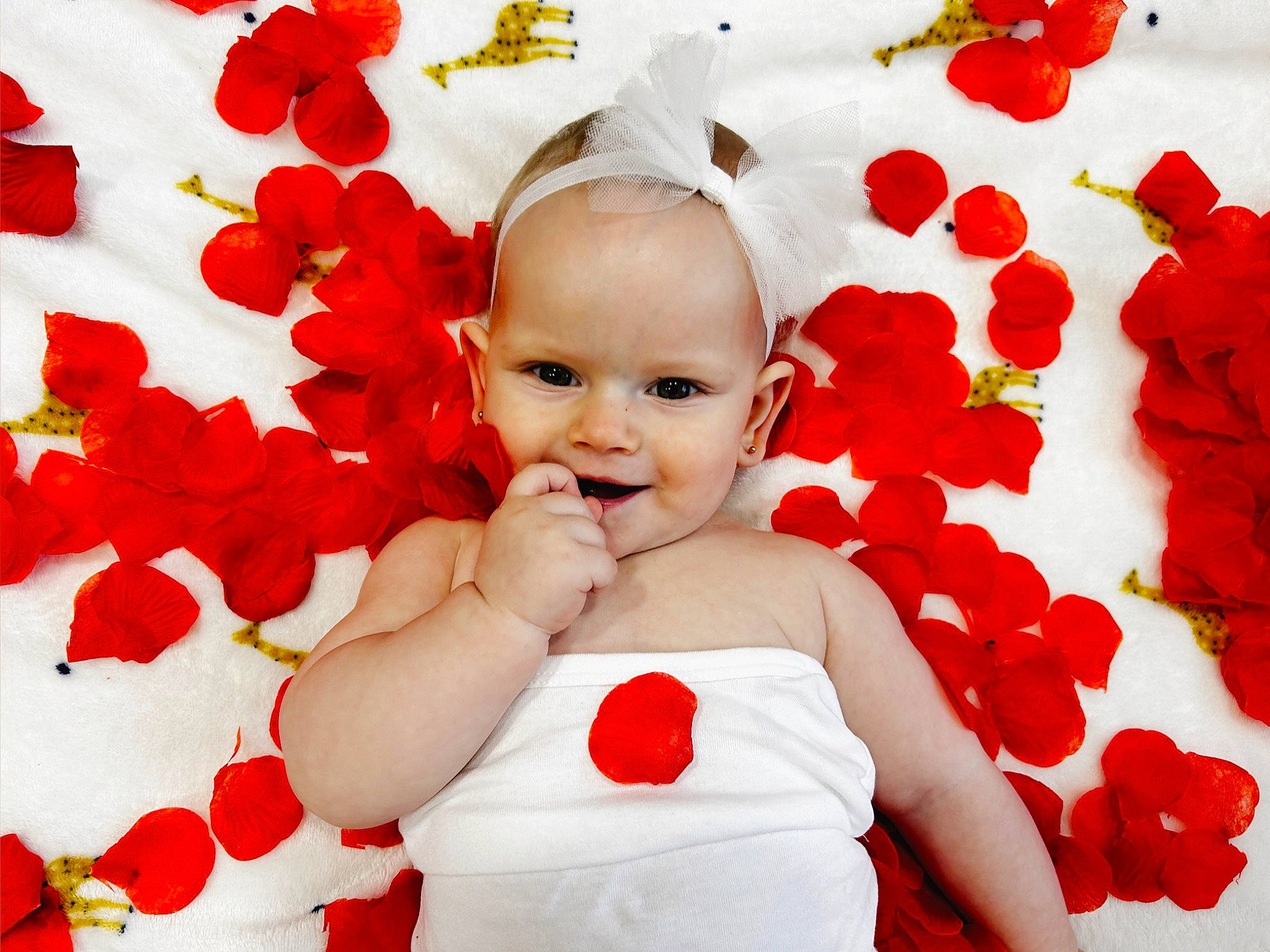 Eva a rejoint le concours — aidez-le/la à gagner de superbes lots ! baby_toddler_clothing, beauty, cut_flowers, floral_design, flower, flowering_plant, font, hand, happy, leaf, pattern, people_in_nature, person, petal, plant, red, rose, rose_family, rose_order, smile