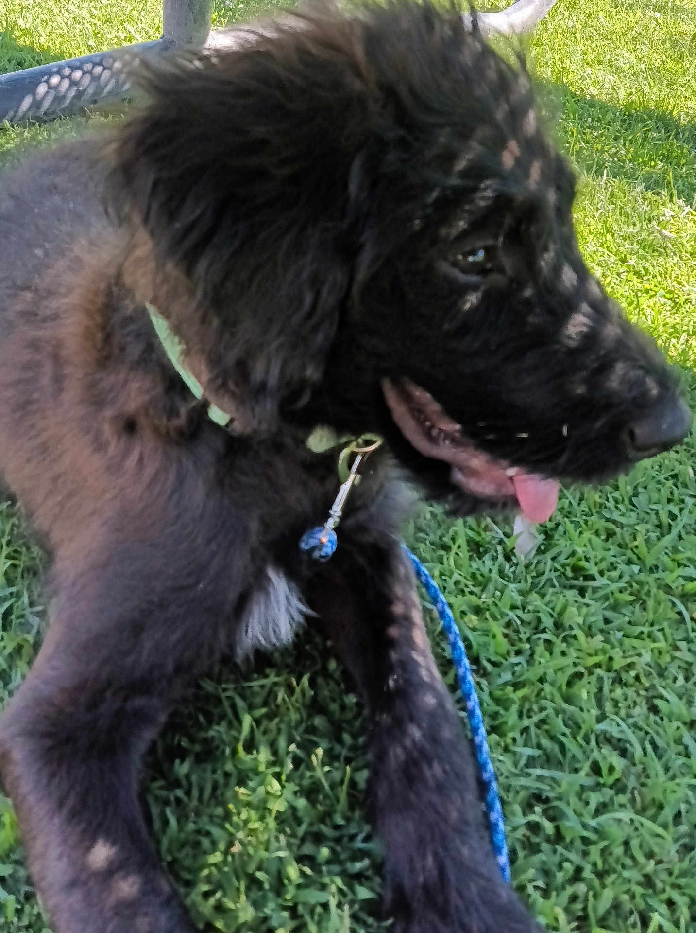 Rambo