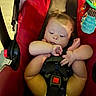 baby, infant, child, car_seat, safety_harness, red, seated, sleepy, face, hands, feet, toes, toy, hanging_toy, indoors, portrait, close_up, colorful, baby_carrier, family