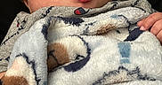 Karsten joined the competition — help win amazing prizes! baby, blanket, child, comfort, cozy, cute, expression, fabric, face, hand, indoors, infant, pajamas, person, playful, portrait, smile, soft, tongue, young