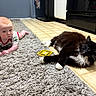 Oliver joined the competition — help win amazing prizes! baby, cat, kitchen, rug, floor, tile, indoor, pet, child, animal, curious, black_cat, white_paws, crawling, domestic, furniture, toy, appliance, home, lying_down