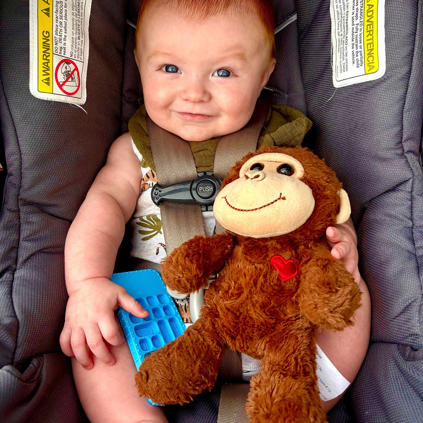 Oliver joined the competition — help win amazing prizes! baby, child, car_seat, plush_toy, monkey, fidget_toy, smile, blue_eyes, infant, cute, happy, sitting, clothing, seatbelt, hand, foot, indoor, person, closeup, toy