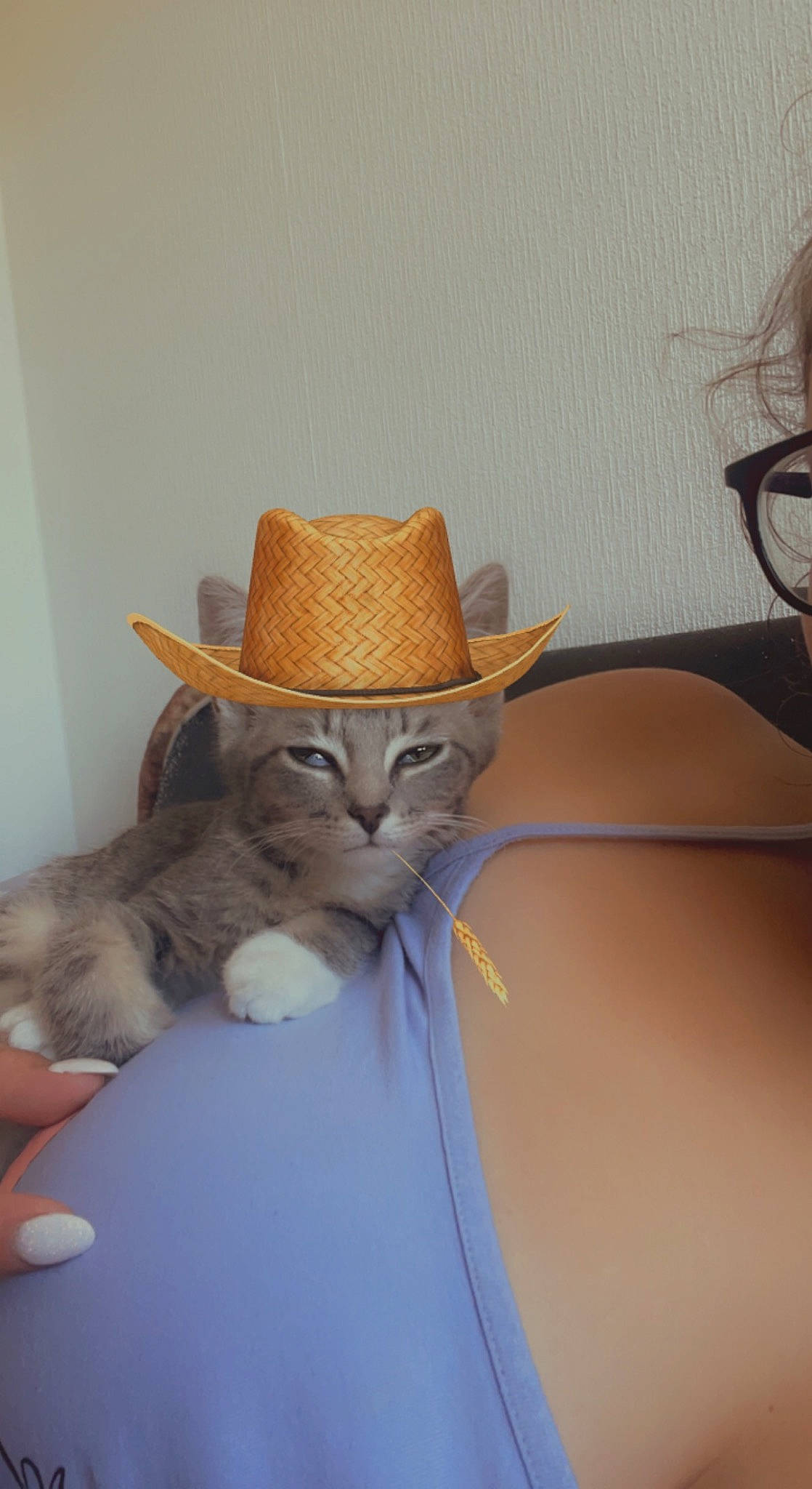 Gri-gri a rejoint le concours — aidez-le/la à gagner de superbes lots ! art, cat, costume_hat, cowboy_hat, eyewear, fashion_accessory, fawn, fedora, felidae, fictional_character, fur, hat, sculpture, small_to_medium_sized_cats, sun_hat, tail, teddy_bear, toy, whiskers, wood