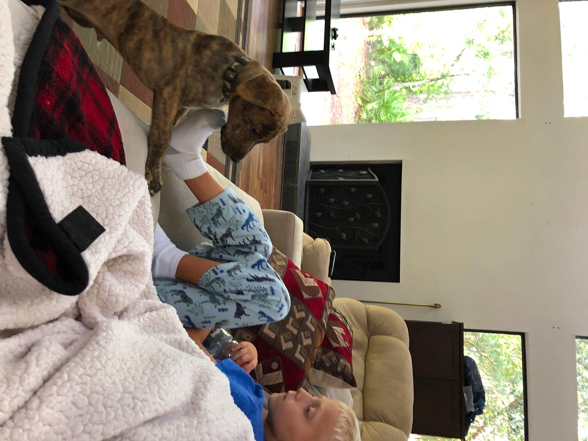 Bowzer joined the competition — help win amazing prizes! leg, linens, room, textile