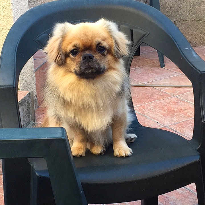 Marley