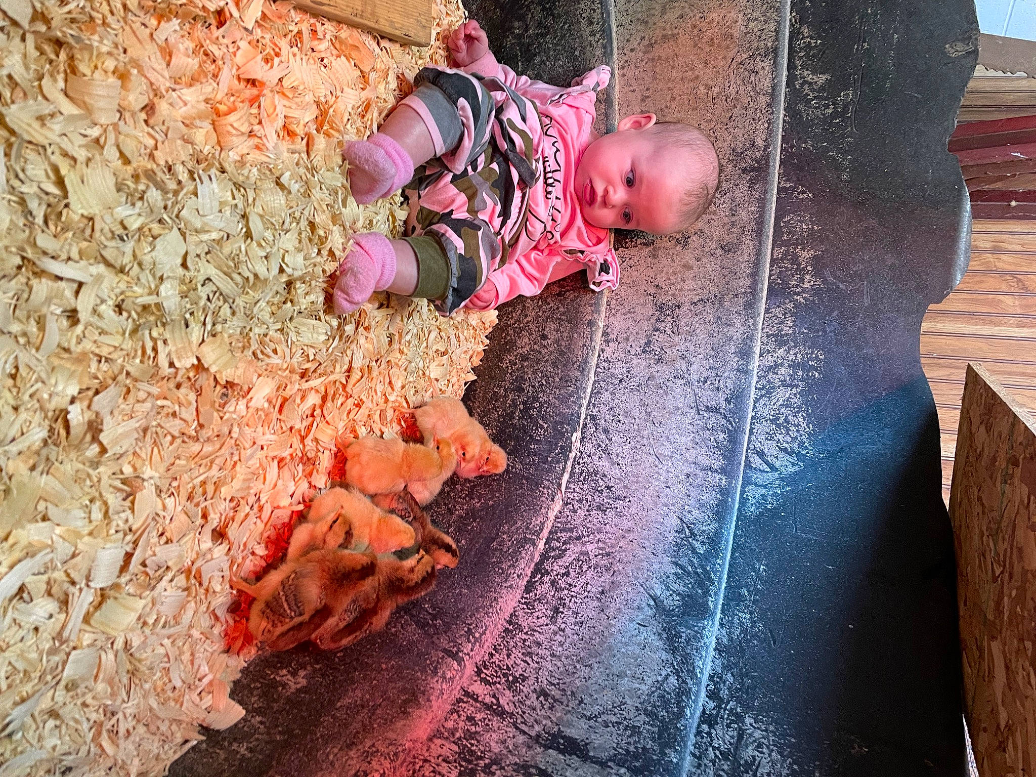 Wynonna is registered to the contest to win money with this photo: asphalt, baby, brick, carmine, child, cobblestone, concrete, flooring, fun, grass, leisure, magenta, people_in_nature, person, pink, road_surface, sidewalk, soil, toddler, tree