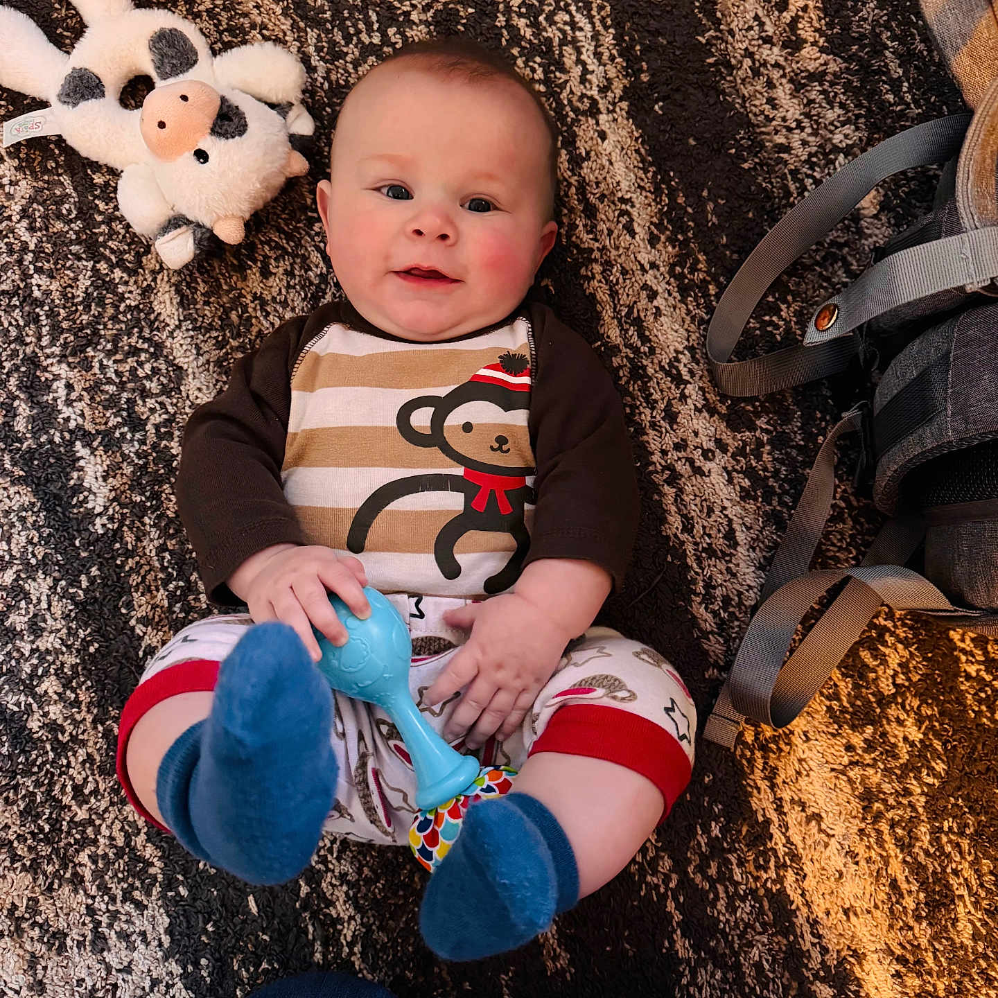 Nox joined the competition — help win amazing prizes! baby, clothing, couch, face, footwear, furniture, head, hosiery, jeans, pants, person, photography, plush, portrait, sandal, shoe, sitting, sneaker, sock, toy