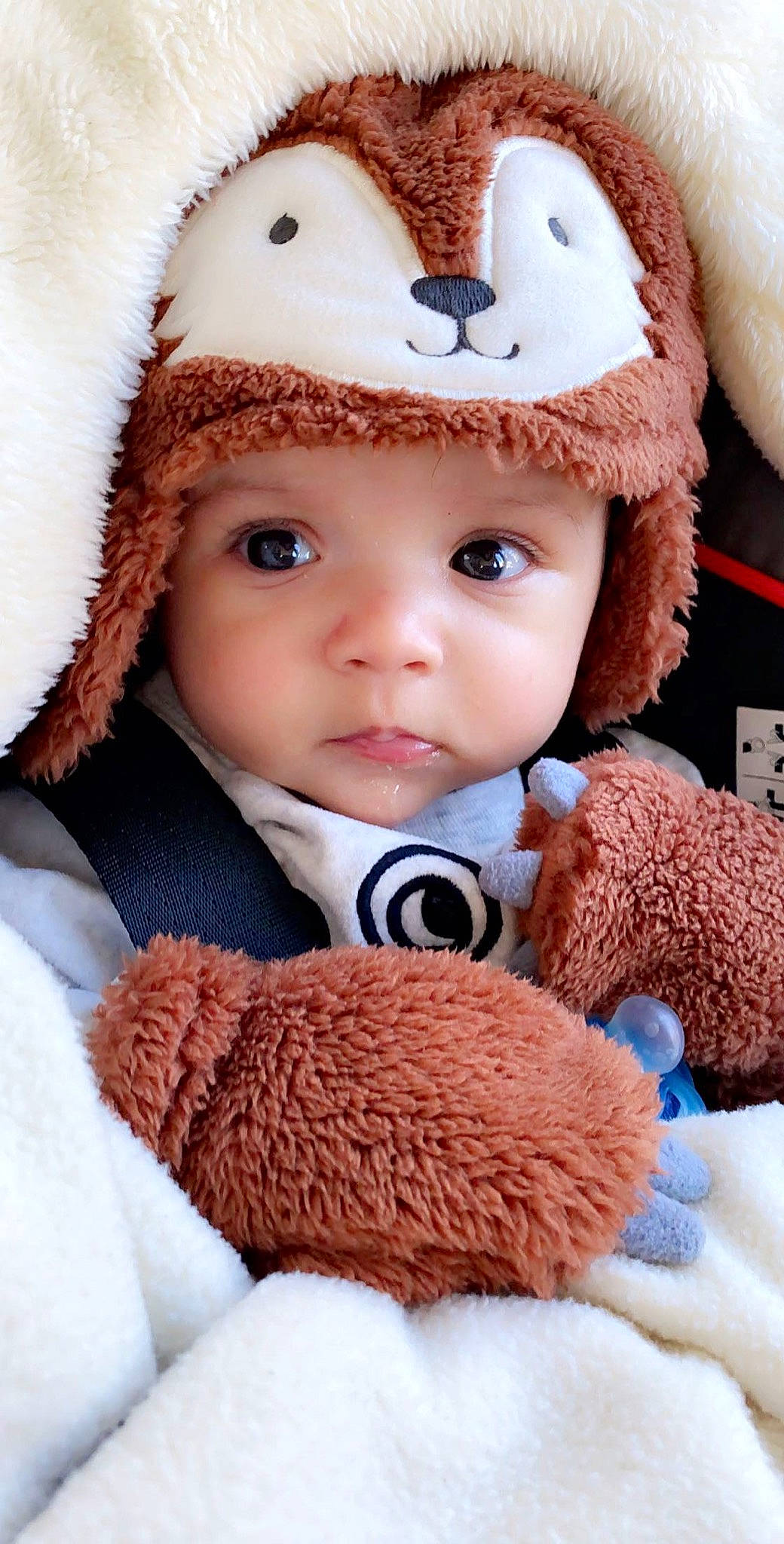 King is registered to the contest to win money with this photo: baby, beanie, brown_hair, cap, child, ear, fur, fur_clothing, headgear, headwear, knit_cap, outerwear, person, plush, skin, stuffed_toy, teddy_bear, toddler, toy, wool