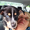 Opie joined the competition — help win amazing prizes! puppy, dog, woman, selfie, car_interior, glasses, raindrops, window, seat, shoulder, blue_eye, close_up, pet, companion, casual, portrait, indoor, young_dog, black_dog, tan_markings
