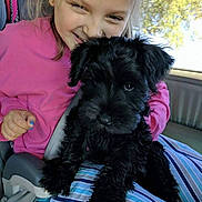 Murphy joined the competition — help win amazing prizes! child, puppy, dog, black_dog, smiling, pink_hoodie, car_interior, seatbelt, striped_blanket, happy, curly_fur, closeup, window, sunlight, cute, pet, friendship, young_girl, indoor, cozy