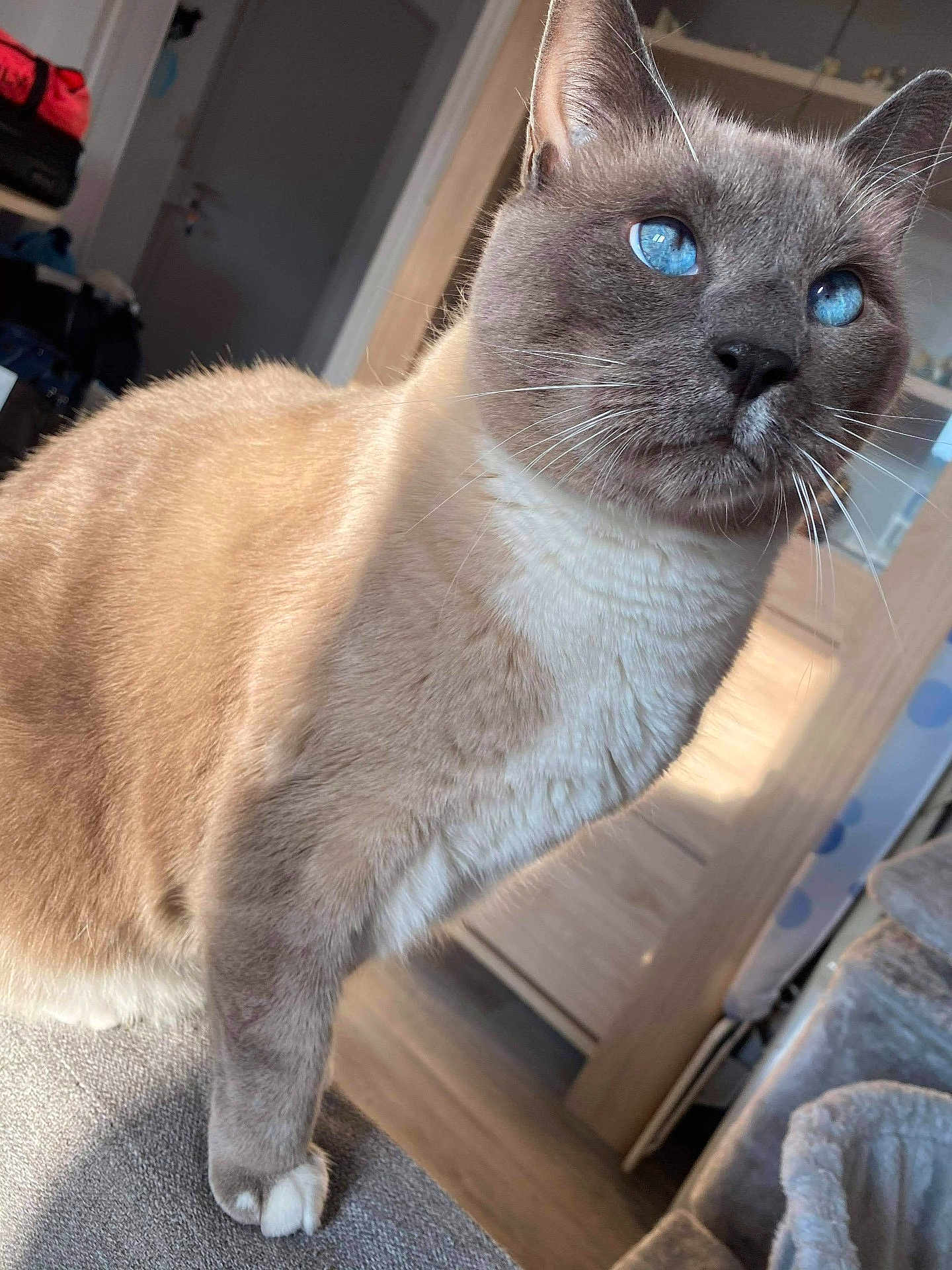 Blue