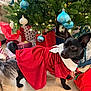 dog, black_dog, dress, red_dress, christmas_tree, christmas_ornaments, blue_ornaments, white_ornaments, holiday_decorations, wrapped_gifts, gift_bags, floor, indoor, pet_clothing, festive, small_dog, tail, ears, collar, holiday