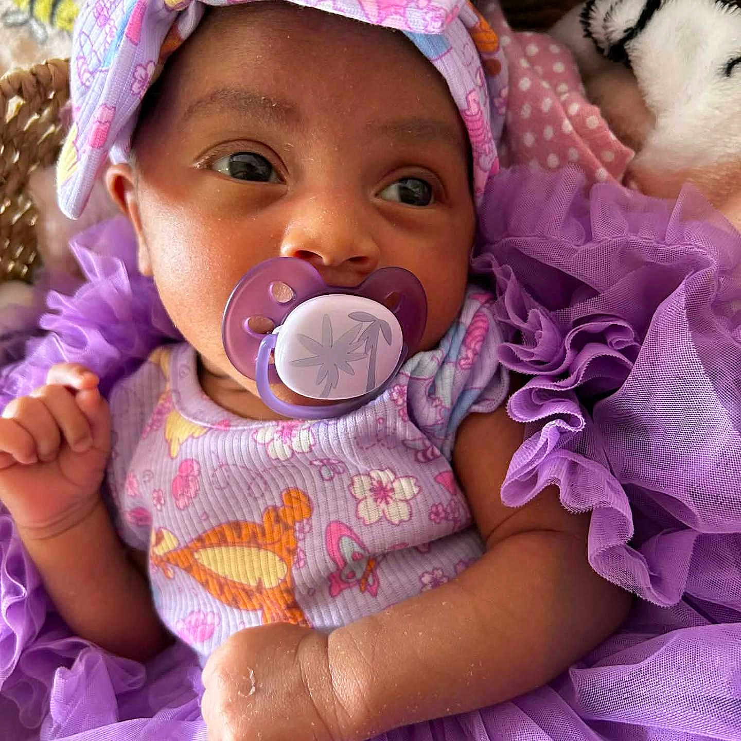 A'Ariyah is registered to the contest to win money with this photo: baby, basket, blanket, child, closeup, clothing, cute, fabric, headband, indoors, infant, newborn, pacifier, person, plush_toy, portrait, purple, smiling, soft, tulle