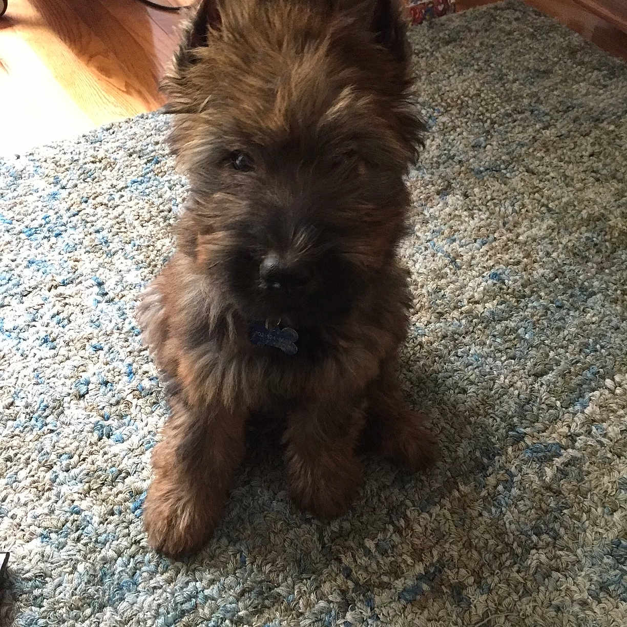 Chloe