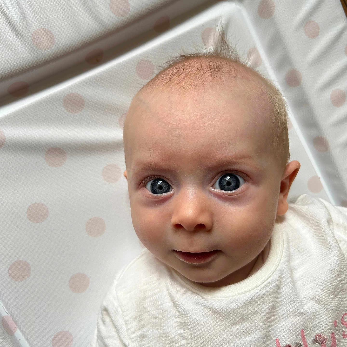 Abigail joined the competition — help win amazing prizes! baby, child, closeup, clothing, curious, cute, expression, eyes, face, hair, head, indoors, infant, mouth, padded_area, person, polka_dot, portrait, skin, white_shirt