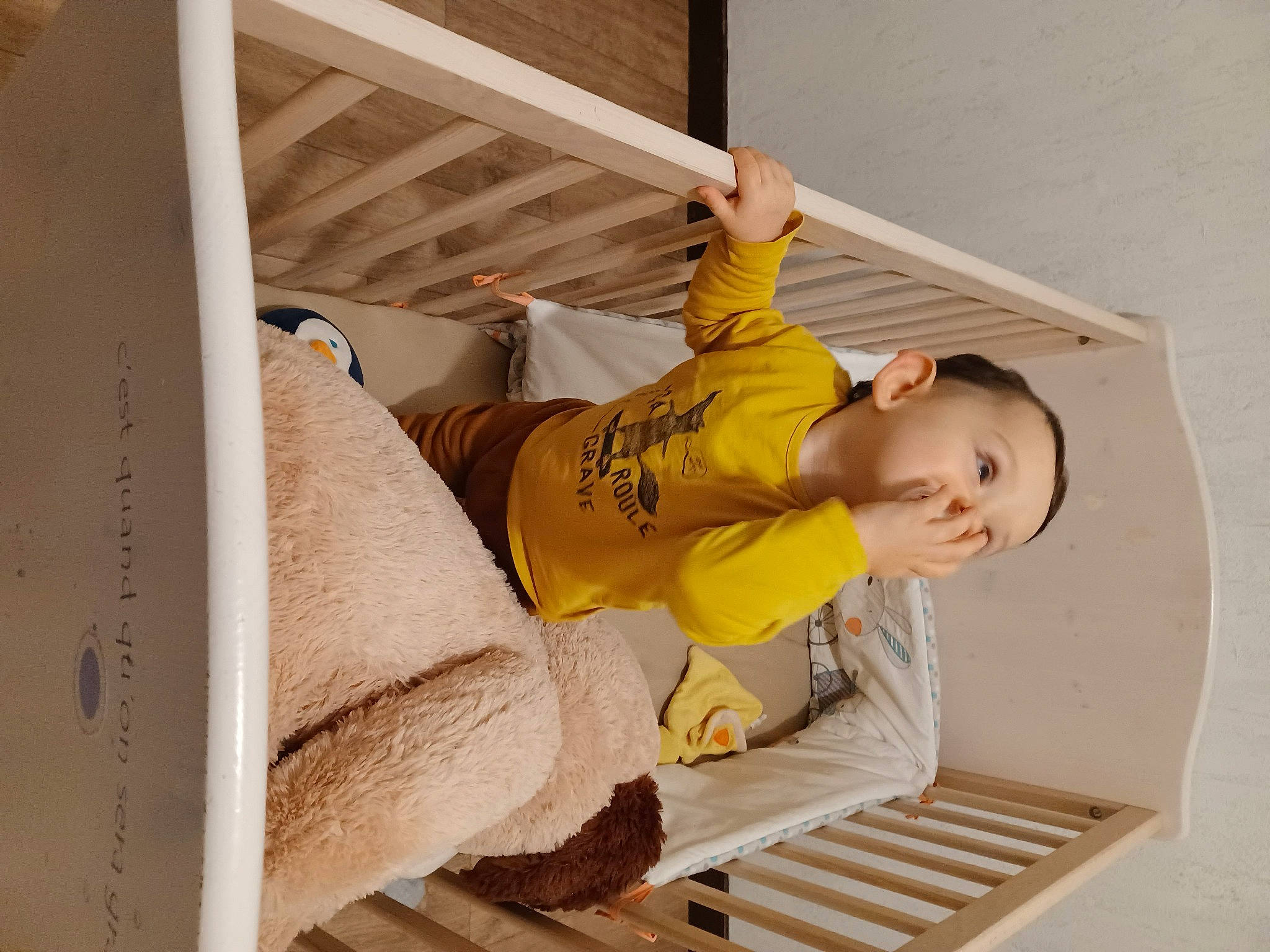 Eddy a rejoint le concours — aidez-le/la à gagner de superbes lots ! baby, baby_products, baby_safety, bed, bed_frame, bedding, bedroom, ceiling, comfort, couch, flooring, hardwood, house, leisure, linens, person, room, stairs, t_shirt, toddler