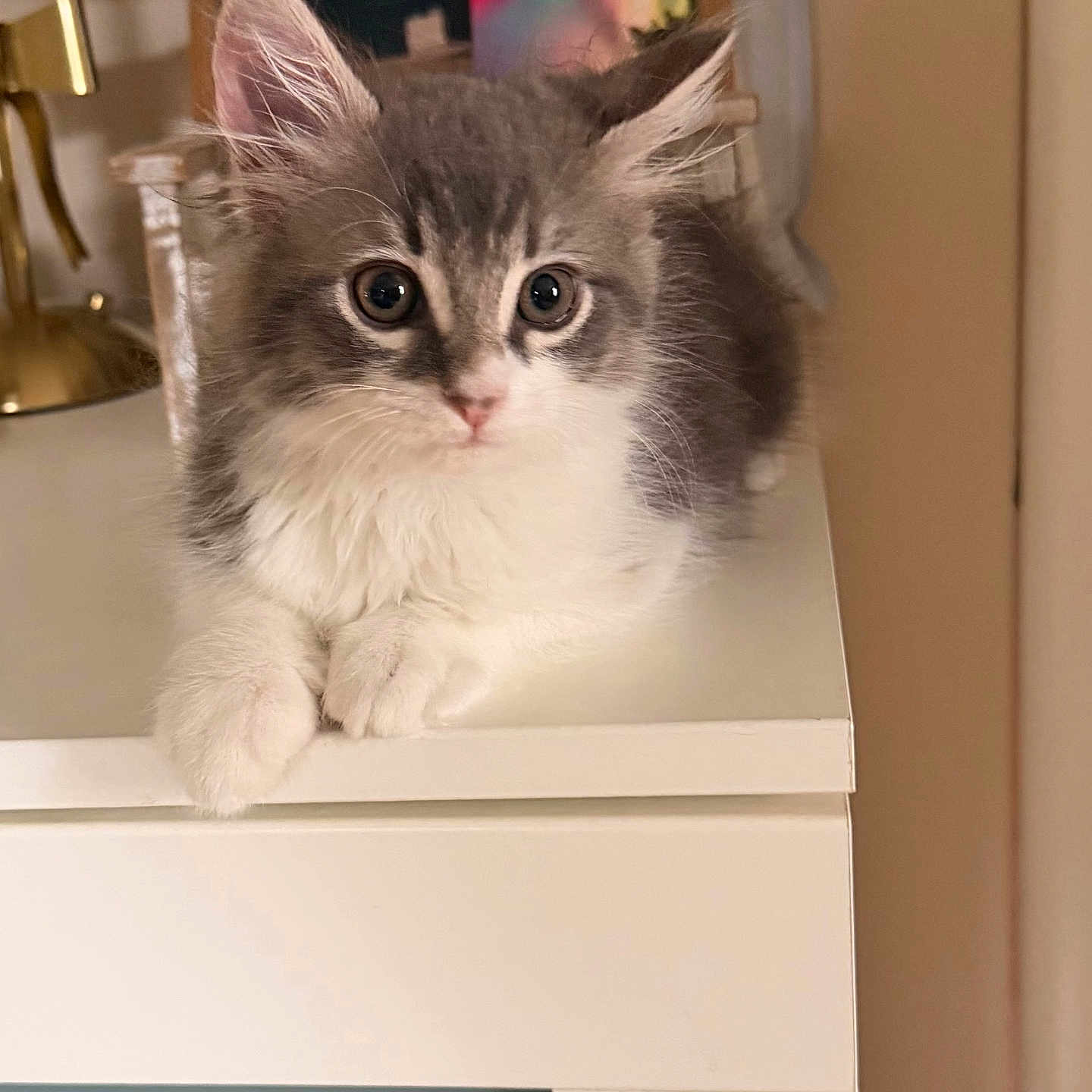Luna