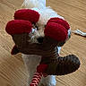 Daisy is registered to the contest to win money with this photo: dog, white_dog, plush_toy, moose_toy, wooden_floor, indoor, pet, playful, cute, fur, animal, toy, floor, domestic_animal, mammal, small_dog, pet_toy, fun, home, curious