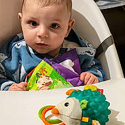 Hoween participe au concours pour gagner de l'argent avec cette photo : baby, child, high_chair, toy, soft_book, hedgehog_toy, indoor, curious, blue_clothing, face, hands, seat_belt, plastic_tray, childhood, playtime, infant, portrait, cute, young_child, looking