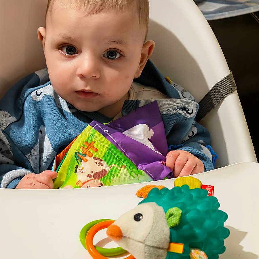 Hoween participe au concours pour gagner de l'argent avec cette photo : baby, blue_clothing, child, childhood, curious, cute, face, hands, hedgehog_toy, high_chair, indoor, infant, looking, plastic_tray, playtime, portrait, seat_belt, soft_book, toy, young_child