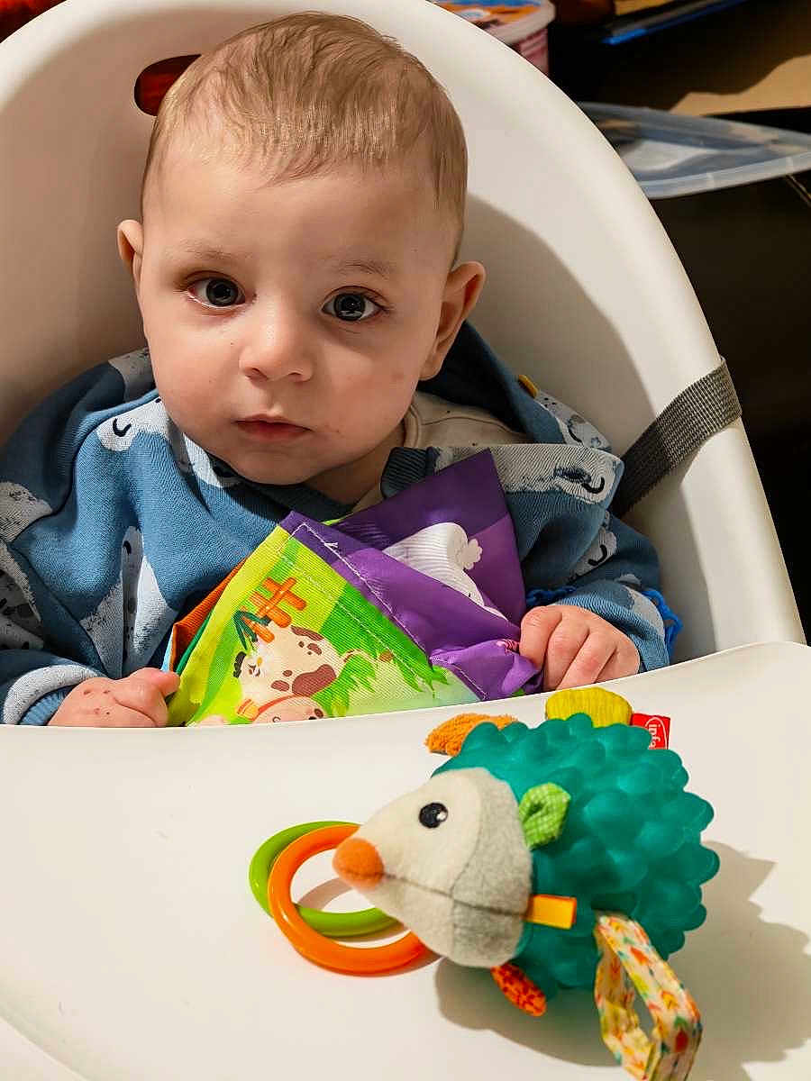 Hoween participe au concours pour gagner de l'argent avec cette photo : baby, child, high_chair, toy, soft_book, hedgehog_toy, indoor, curious, blue_clothing, face, hands, seat_belt, plastic_tray, childhood, playtime, infant, portrait, cute, young_child, looking