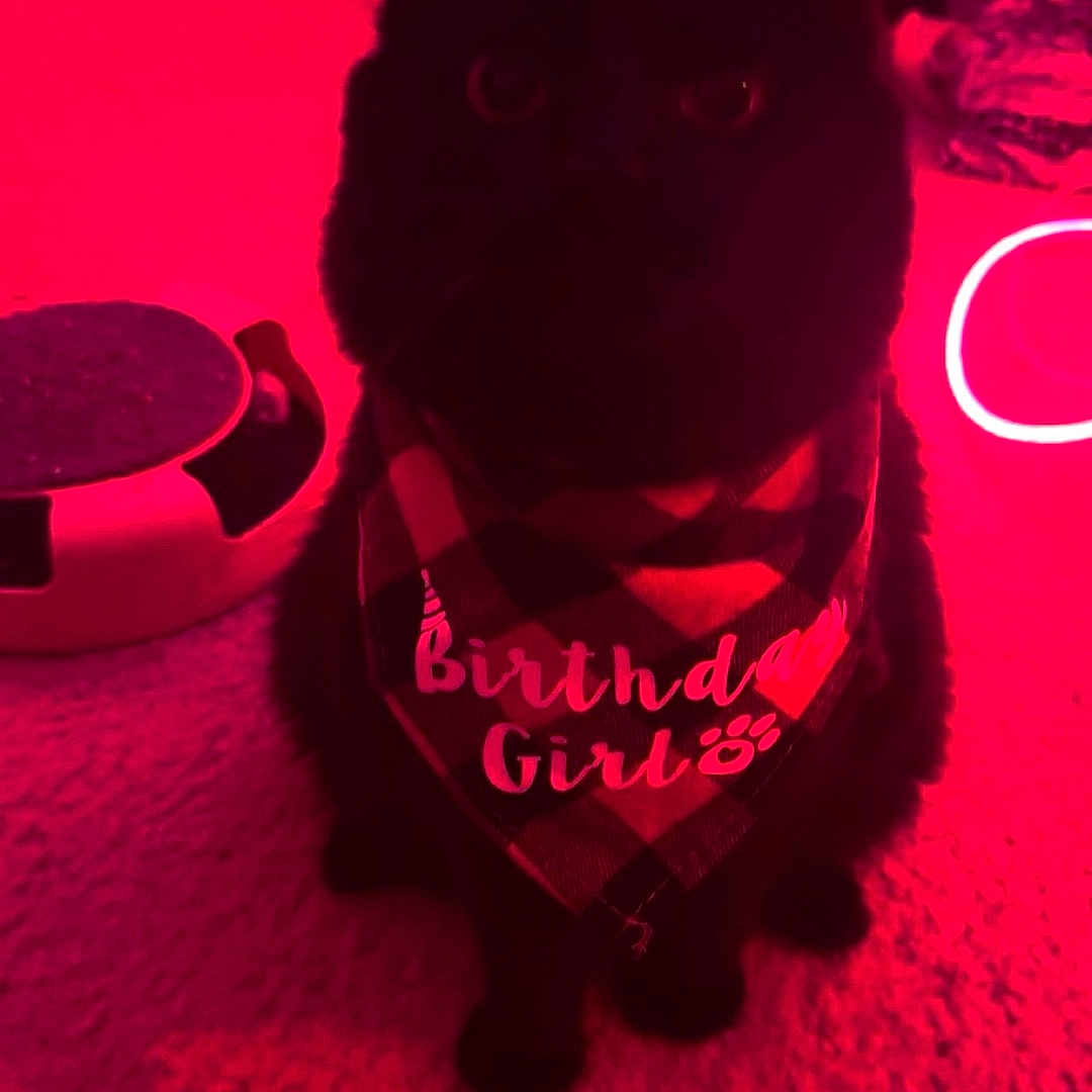 Kiki