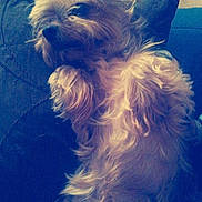 Fifille participe au concours pour gagner de l'argent avec cette photo :