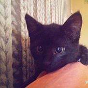 Quinoush participe au concours pour gagner de l'argent avec cette photo :