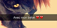 Quinoush participe au concours pour gagner de l'argent avec cette photo :