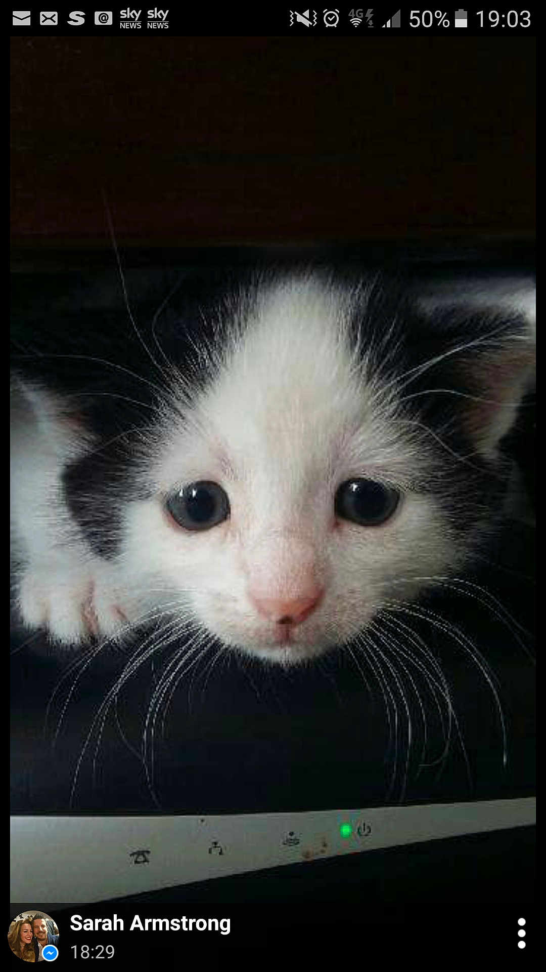 Theo is registered to the contest to win money with this photo: kitten, cat, close_up, black_and_white, pet, animal, whiskers, cute, curious, face, eyes, fur, young, indoor, portrait, small, mammal, feline, looking, head