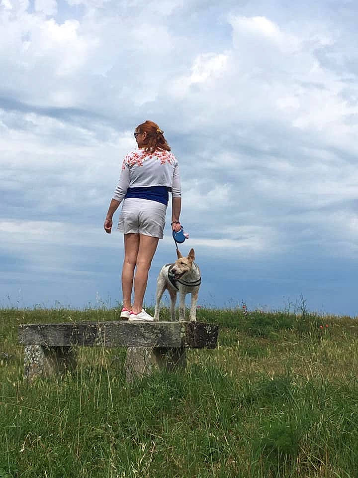 Blackjack participe au concours pour gagner de l'argent avec cette photo : canidae, dog_walking, fawn, fun, grass, grass_family, grassland, happy, meadow, pasture, people_in_nature, prairie, recreation, sky, sporting_group, summer, vacation, walking