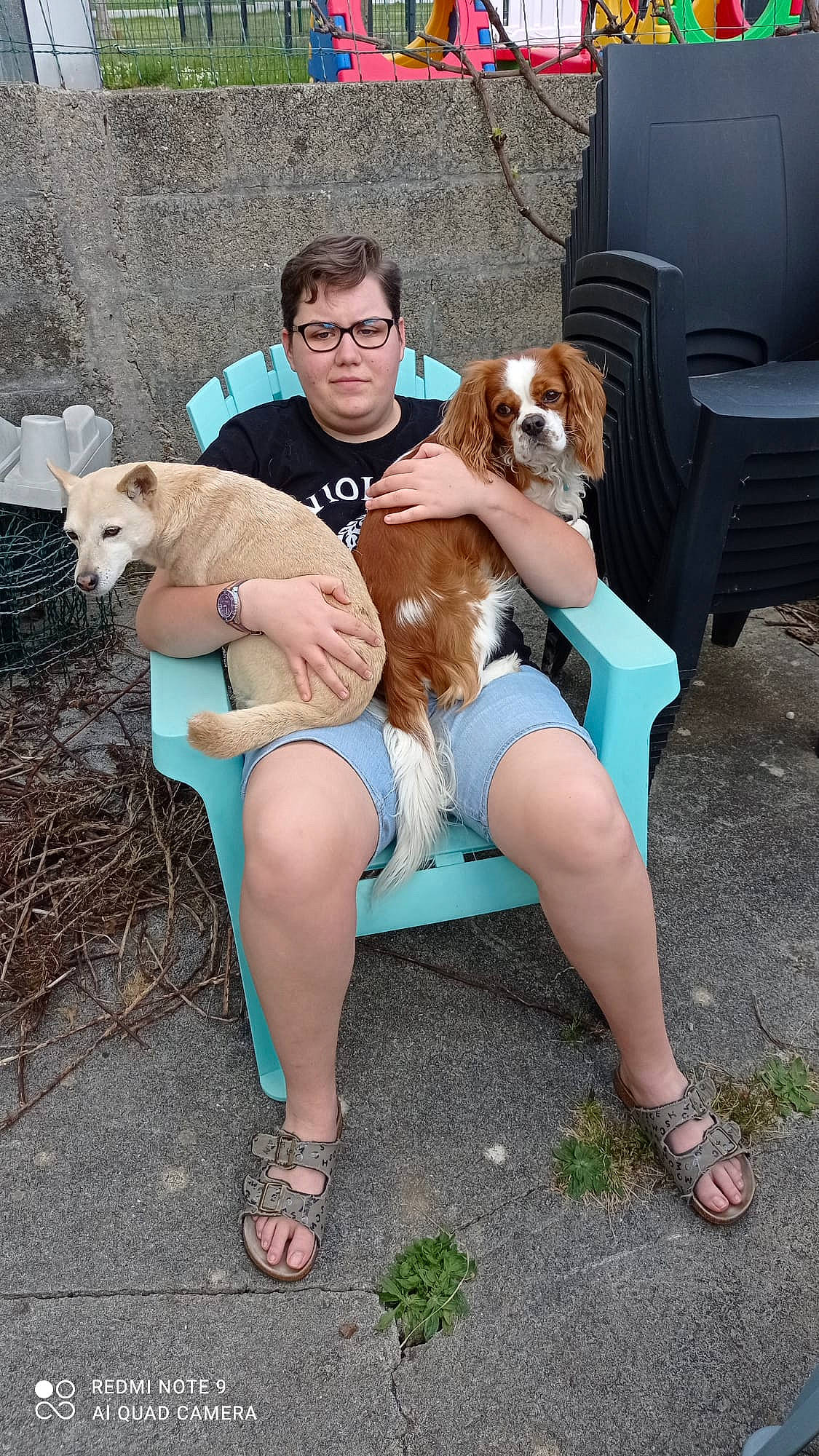 Peps participe au concours pour gagner de l'argent avec cette photo : canidae, carnivore, chair, comfort, companion_dog, dog, dog_breed, fawn, foot, hound, human_leg, knee, lap, leisure, sandal, sitting, sporting_group, sunglasses, thigh, vehicle_door