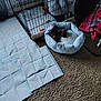 animal, blanket, brown, cage, carpet, cozy, crate, cute, dog, floor, furniture, home, indoor, pet_bed, plush_toy, puppy, resting, sleeping, small, training_pad