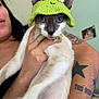 animal, blue_eyes, cat, close_up, costume, cute, expression, face, feline, frog_hat, funny, hand, indoor, knitted_hat, person, pet, portrait, tattoo, tattooed_arm, whiskers