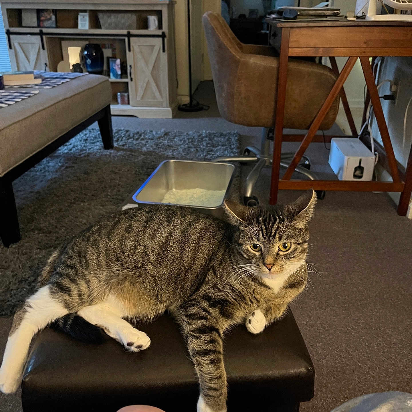 Orbi
