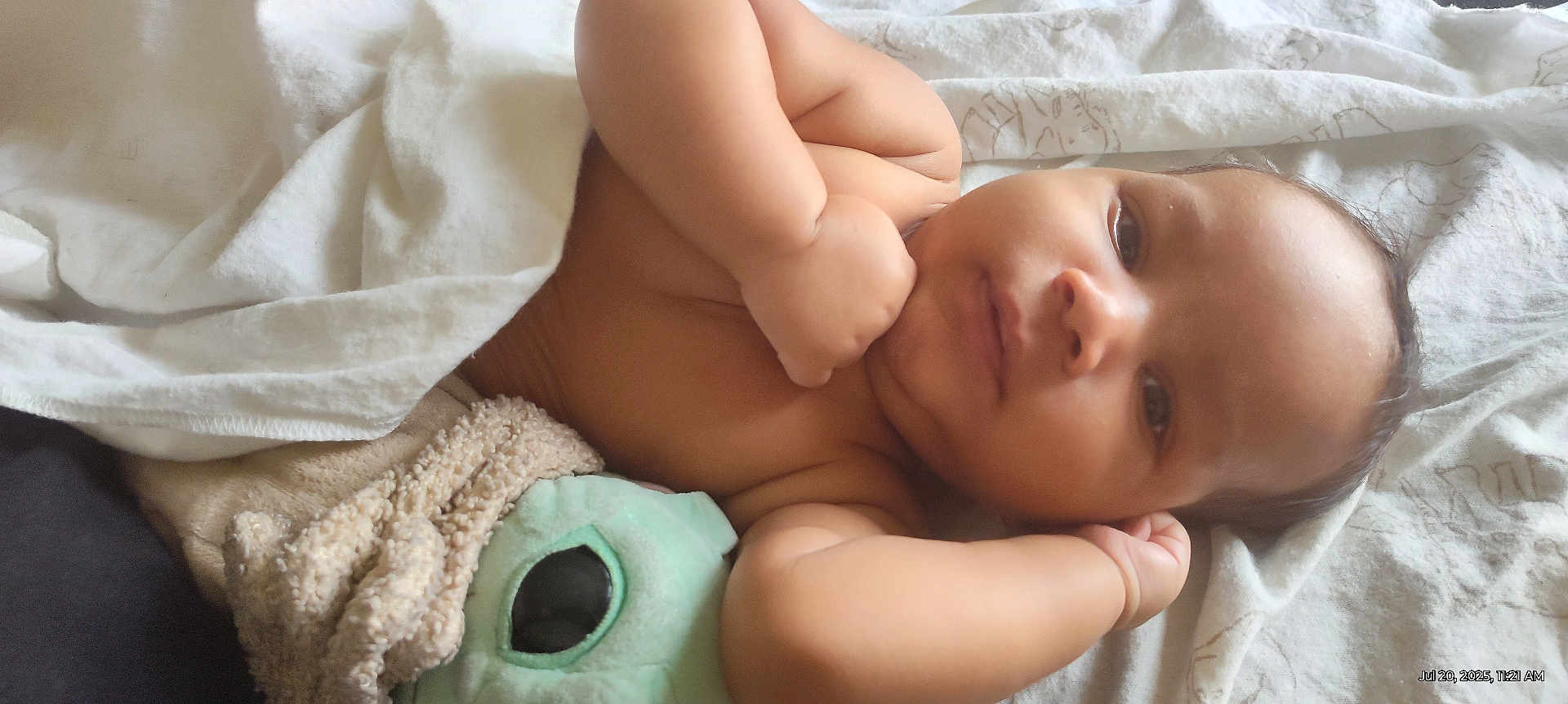 Jamar is registered to the contest to win money with this photo: baby, infant, blanket, plush_toy, soft_toy, cuddling, lying_down, face, arm, hand, skin, expression, cozy, closeup, indoors, comfort, child, sleepy, peaceful, resting