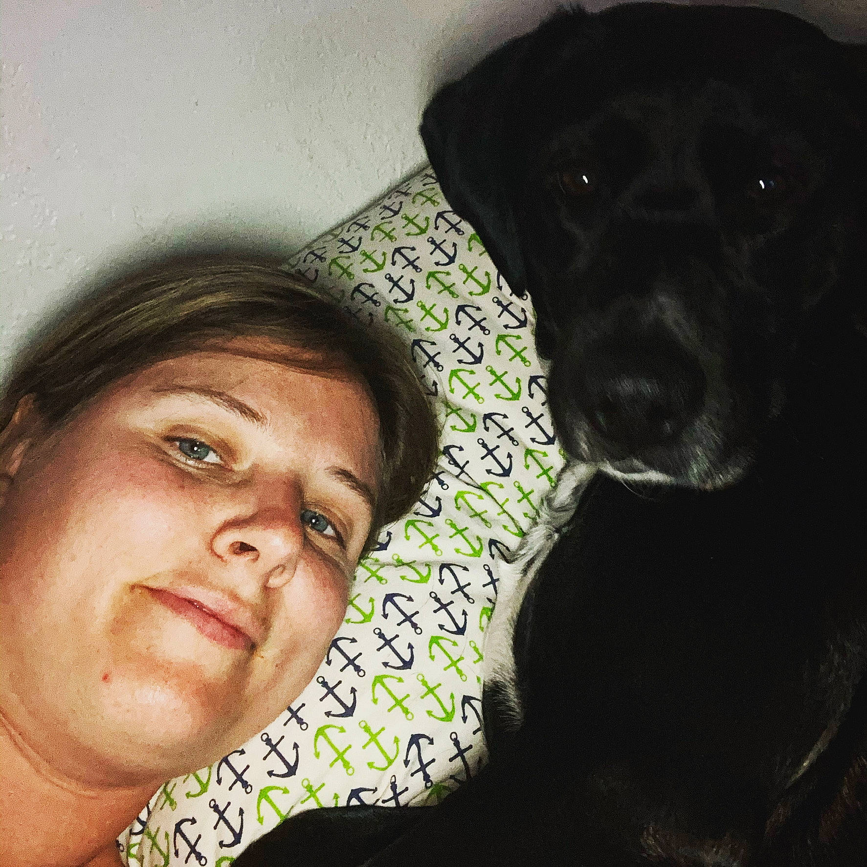 Stella is registered to the contest to win money with this photo: beauty, black_hair, borador, canidae, carnivore, comfort, companion_dog, cool, couch, dog, dog_breed, eyelash, flash_photography, fur, happy, human, nose, selfie, snout, working_animal