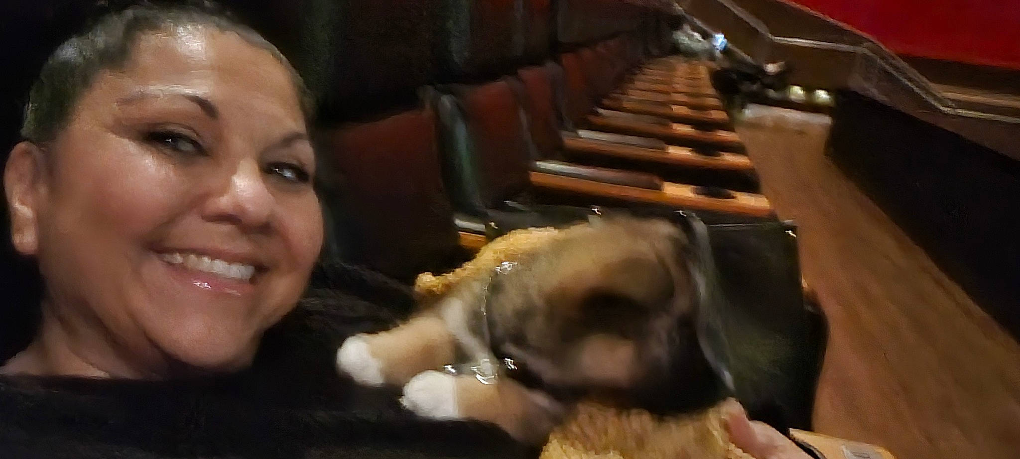 Louie joined the competition — help win amazing prizes! canidae, companion_dog, dog_breed, ear, eyelash, eyewear, felidae, fun, fur, happy, room, selfie, sitting, small_to_medium_sized_cats, smile, sporting_group, wood