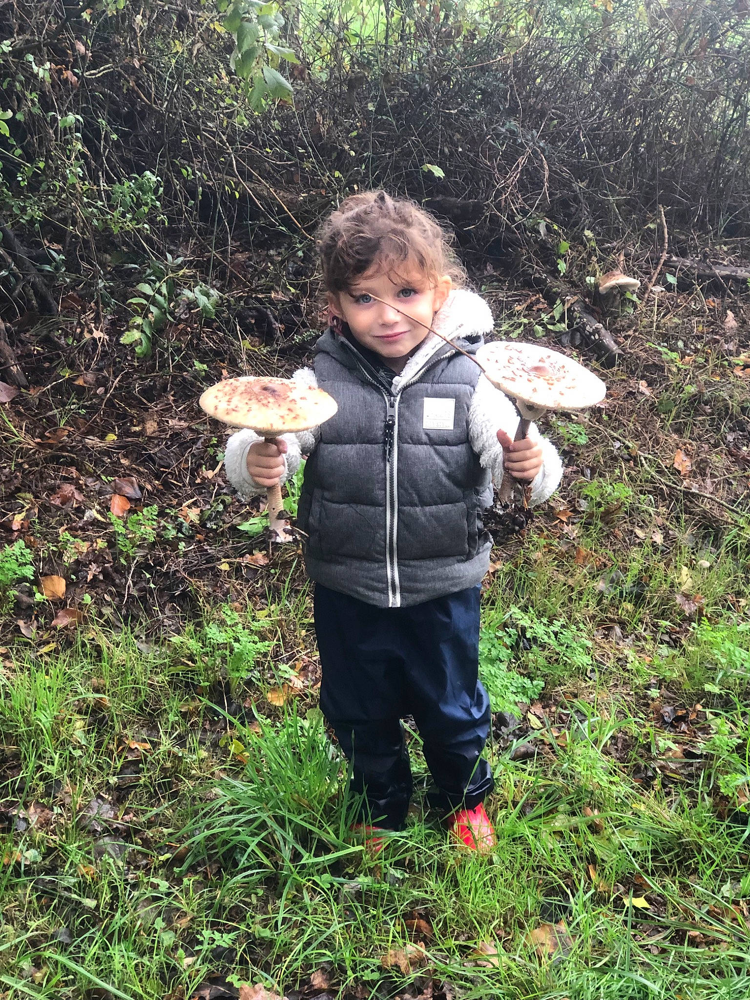 Lilas participe au concours pour gagner de l'argent avec cette photo : adaptation, autumn, baby_toddler_clothing, child, forest, garden, grass, grass_family, grassland, groundcover, jacket, joy, landscape, natural_landscape, people_in_nature, person, plant, soil, terrestrial_plant, toddler