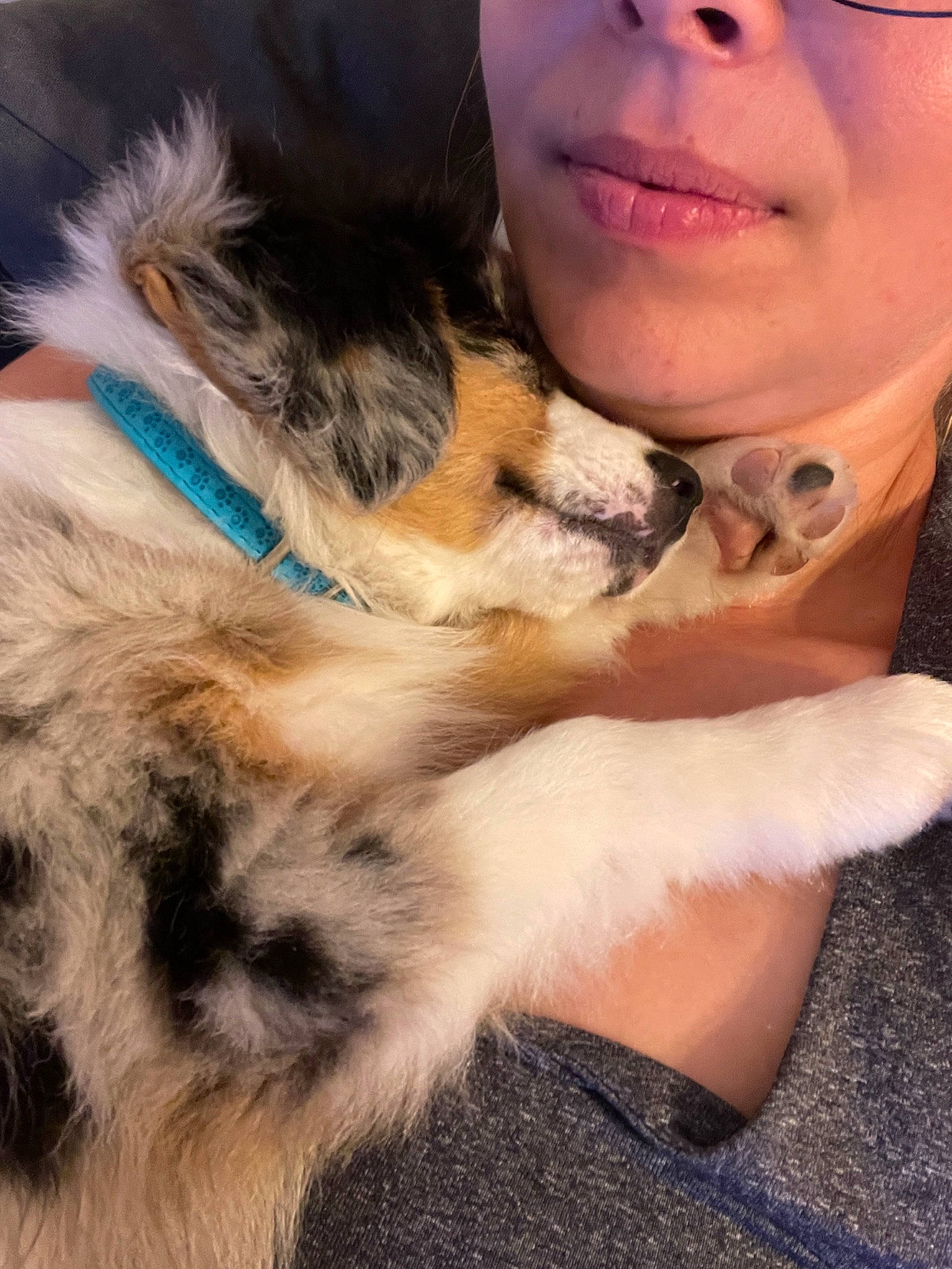 Ully a rejoint le concours — aidez-le/la à gagner de superbes lots ! canidae, carnivore, companion_dog, dog, dog_breed, fawn, foot, fur, happy, human_leg, paw, puppy, skin, snout, sporting_group, whiskers, working_dog